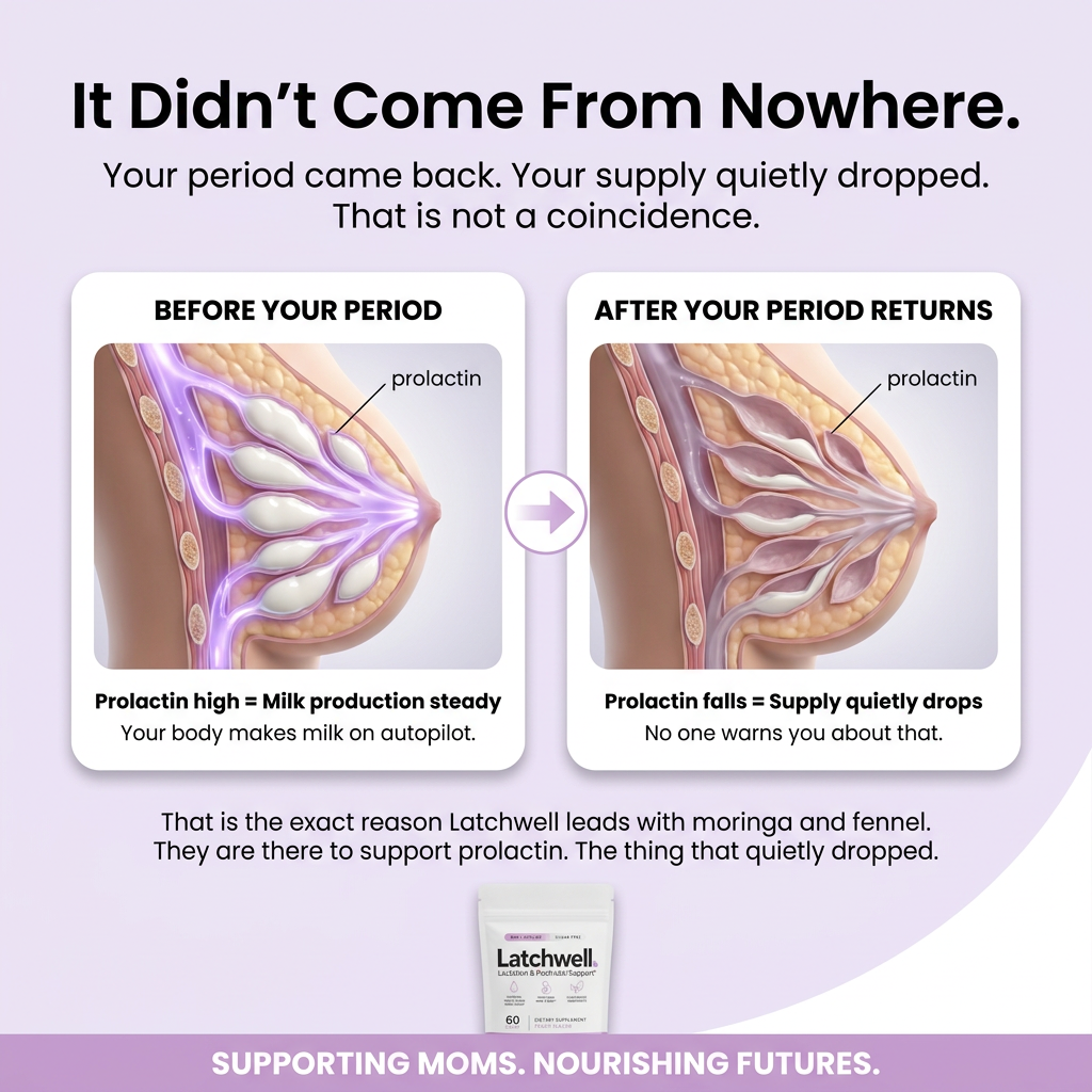 Latchwell™ Lactation & Postnatal Support Gummies